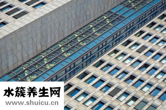 肛瘺是什么