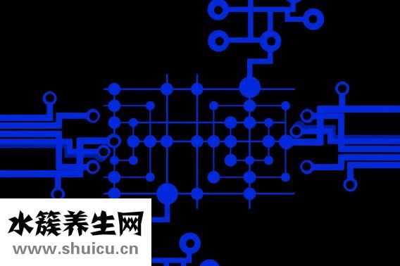 風信子怎么養