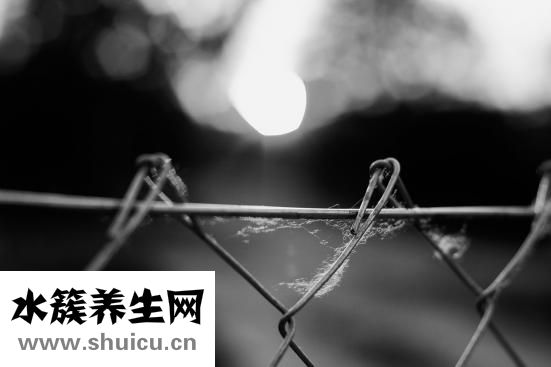 花印怎么樣
