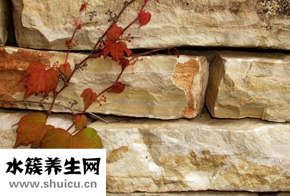 西岳什么山