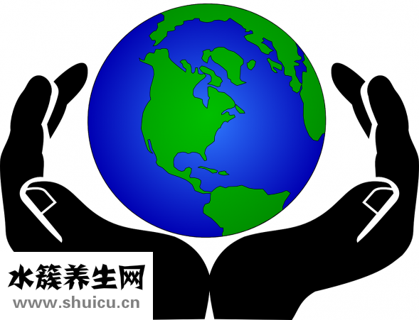 肺熱吃什么好