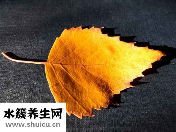 如何才能懷孕