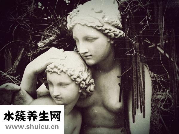 胎夢有哪些