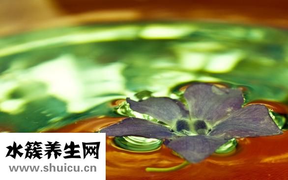怎么疊玫瑰花