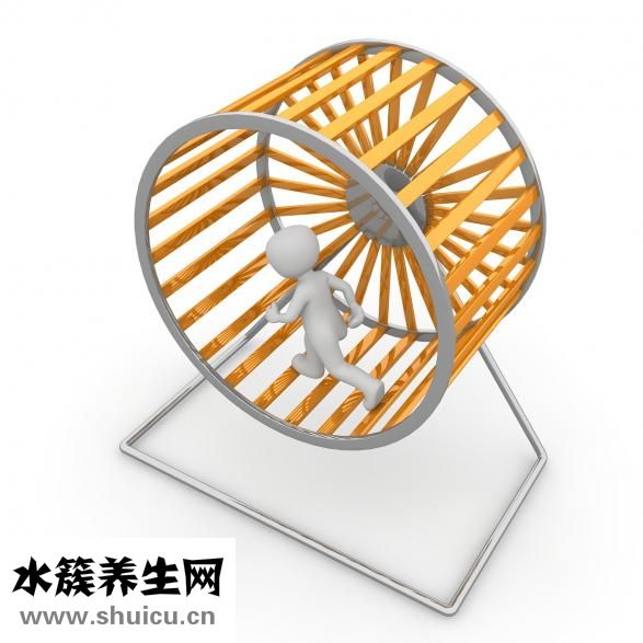陰囊是什么