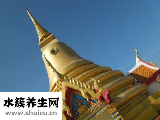 寶塔糖怎么吃