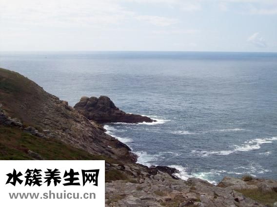掉頭發缺什么