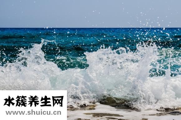 黃精是什么