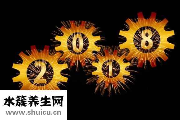 哪里看頭發好