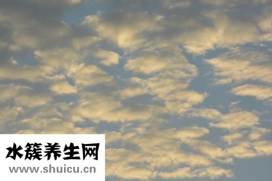 攪拌機怎么用