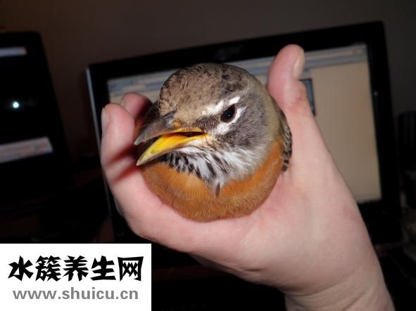 漢釜宮怎么樣