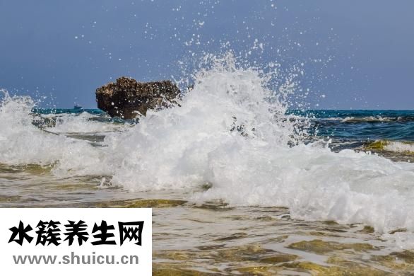 黃精是什么