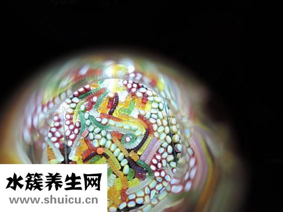 怎么祛黃褐斑