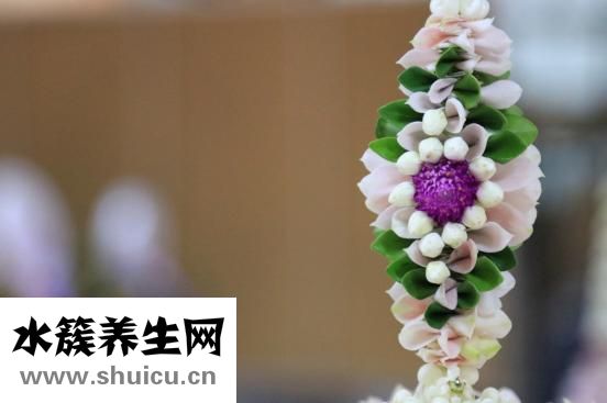 睡不著吃什么