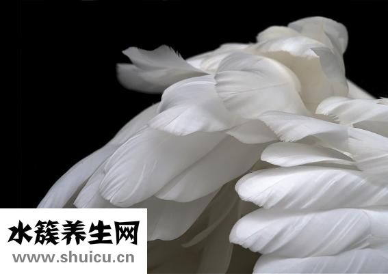 浮躁怎么辦