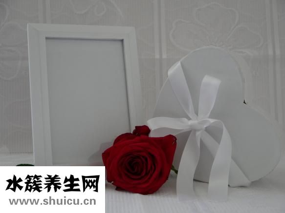 心什么神往