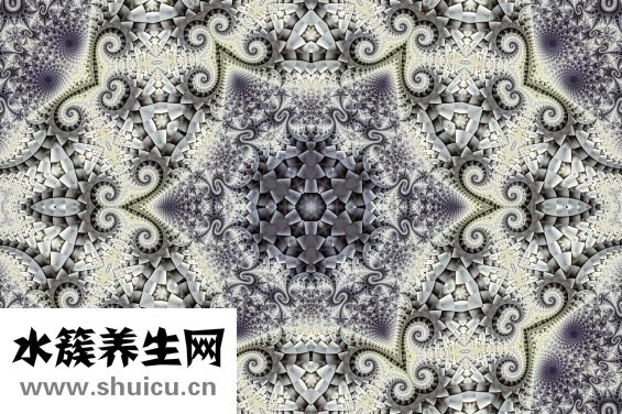 白蟻怎么治