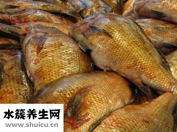 漢釜宮怎么樣