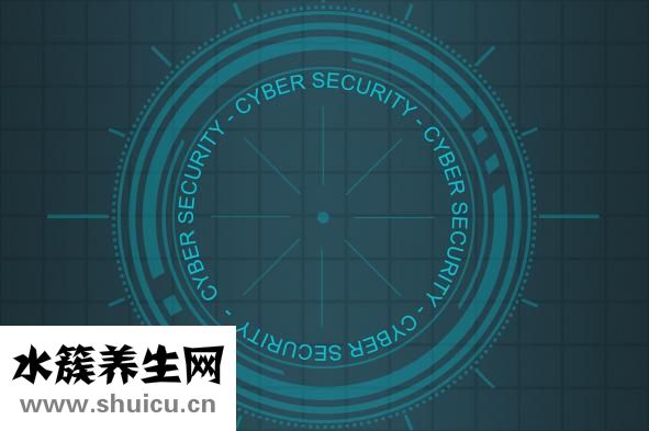 什么是雙軌制
