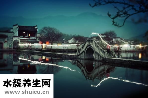 憶草怎么樣