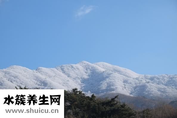 山根是什么