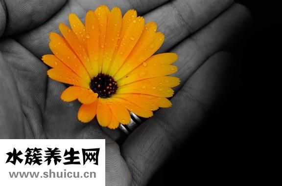 伊索怎么樣
