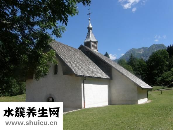 善貝勒怎么樣