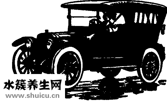 標婷怎么樣