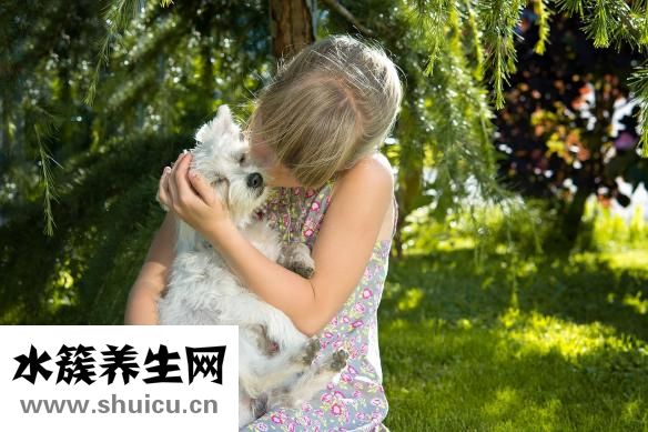 愛柔仕怎么樣