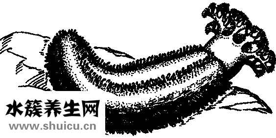 熱干面怎么吃