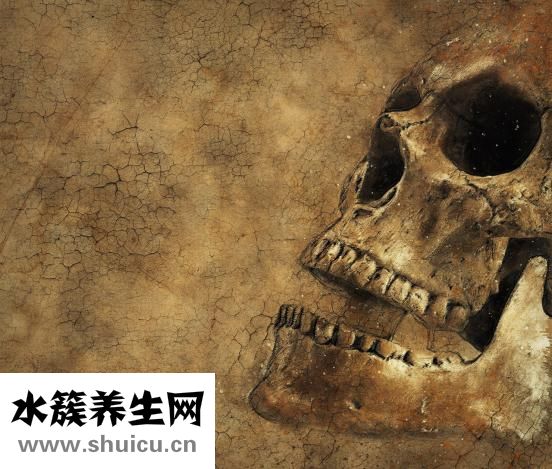 鈣維康怎么樣
