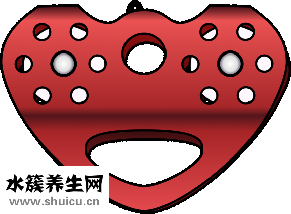 李鴻君隆鼻怎么樣