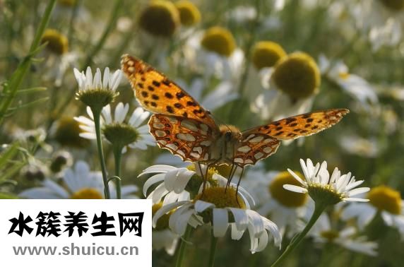 為什么總是我