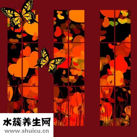李醫生怎么樣