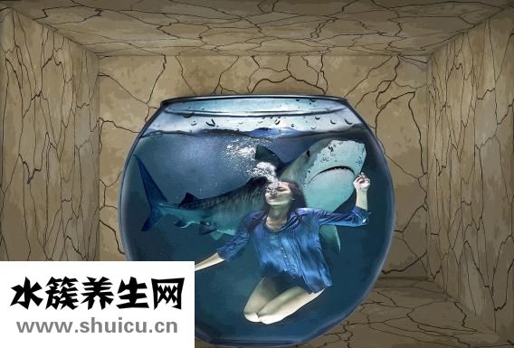 什么是恐懼癥
