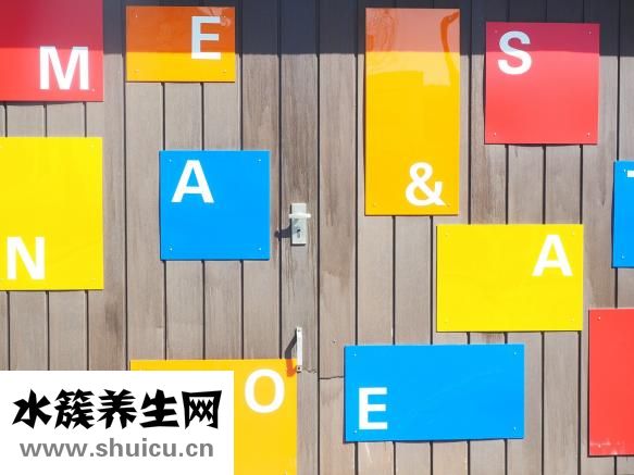 白芙泥怎么樣