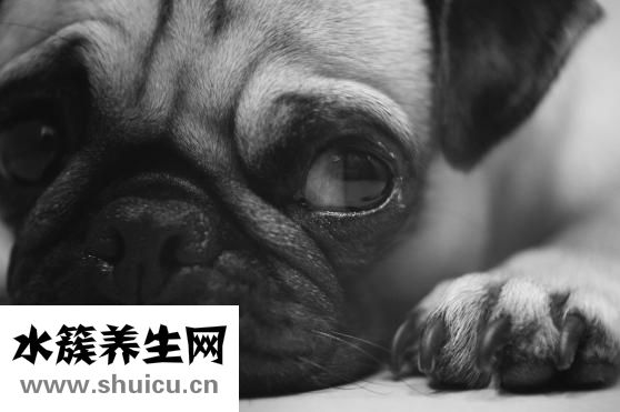 雙面鏡是什么