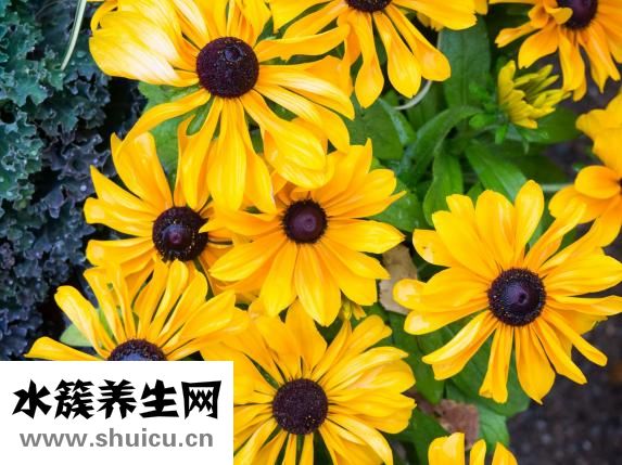 凍瘡怎么辦