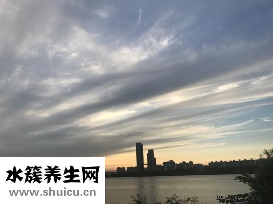 韓川美怎么樣