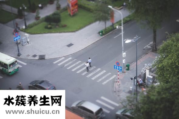 娃麗比怎么樣