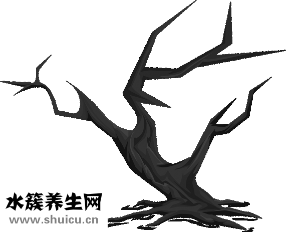 金可兒怎么樣