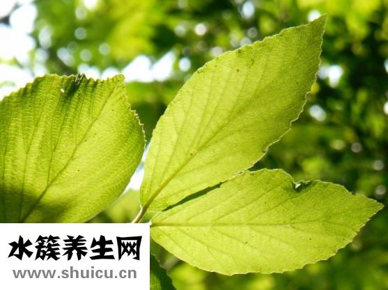 薇姿怎么樣