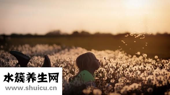 嬰姿坊怎么樣