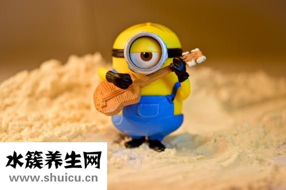 馬上有什么