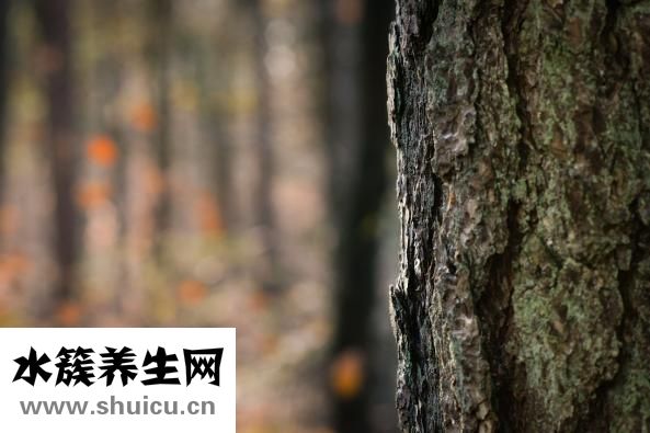 你能堅持多久