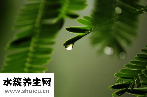 娃麗比怎么樣