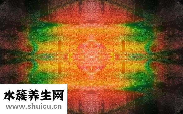 吉普怎么樣