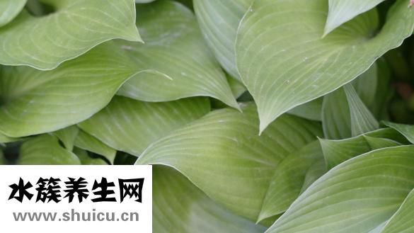 薇姿怎么樣