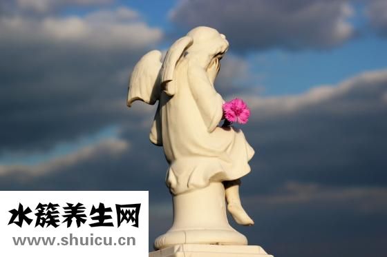馬上有什么