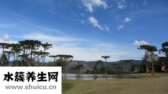 薇姿怎么樣